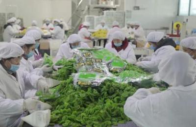 看“四園”促發(fā)展 2019網(wǎng)絡(luò)媒體周至行采風(fēng)活動(dòng)圓滿落幕，聚焦食品銷(xiāo)售創(chuàng)新